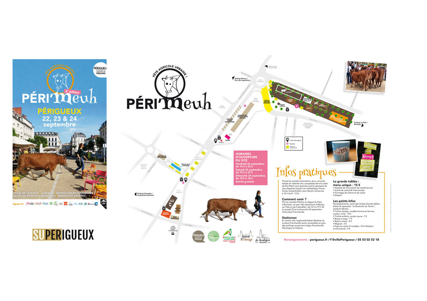 revue-sur-mesure-centres-villes-de-demain-quelles-strategies-pour-le-commerce-et-l-activite_perigueux.png