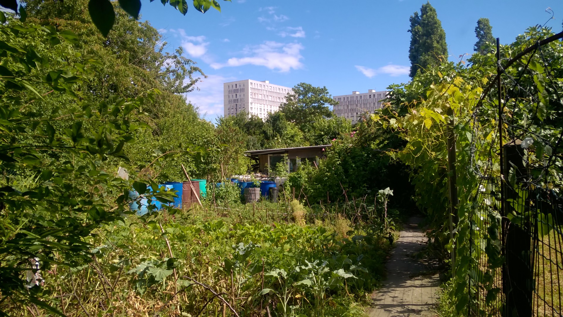 revue-sur-mesure-cultiver-en-ville-action-cle-de-la-transition-ecologique-et-agricole-regionale_st-denis-stains-alagneau.jpg