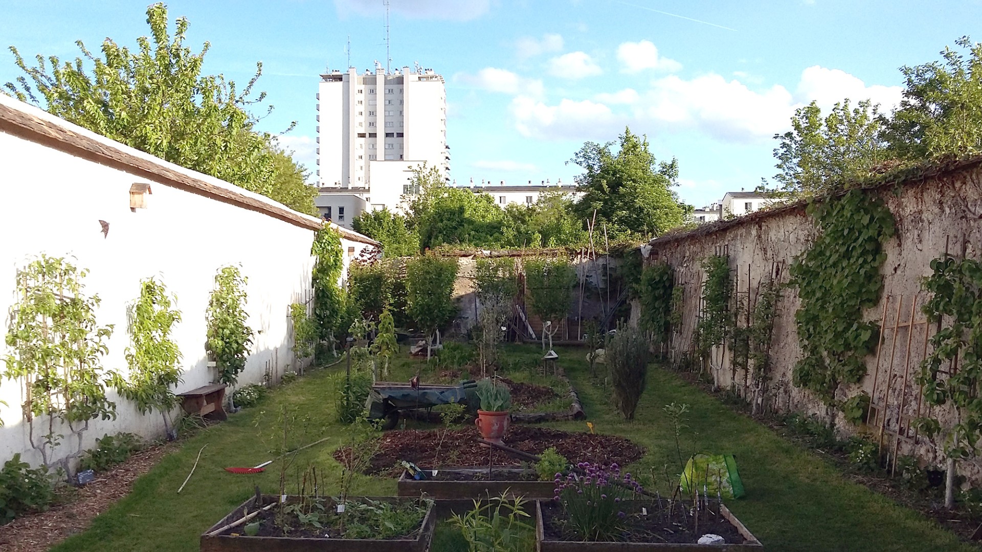 revue-sur-mesure-les-murs-a-peches-de-montreuil_murs-a-peches-6-couv.jpg