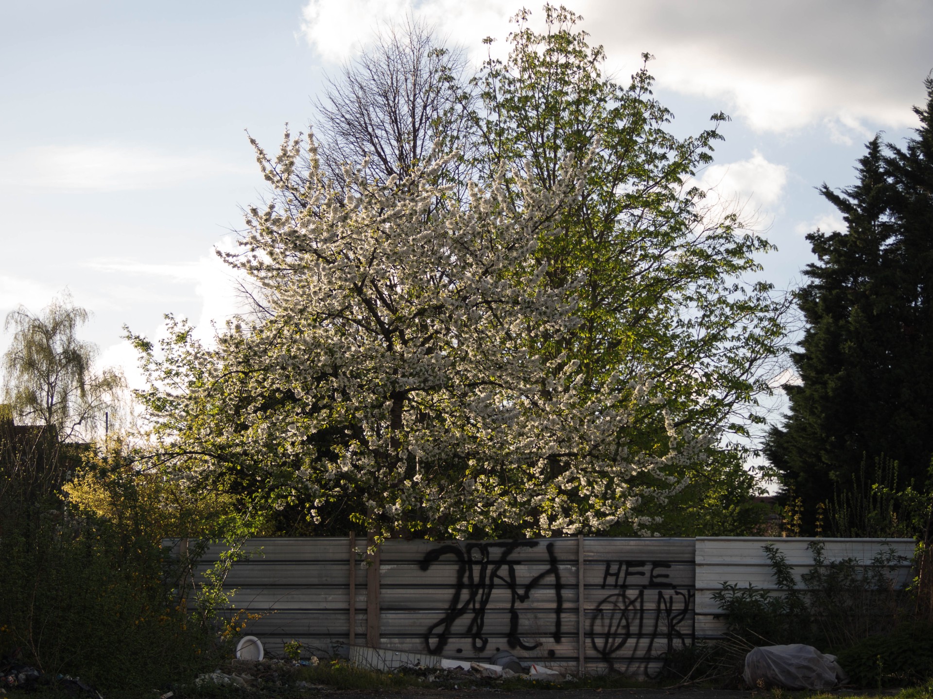 revue-sur-mesure-sous-les-paves-le-jardin_gabrielle-antoine.jpg