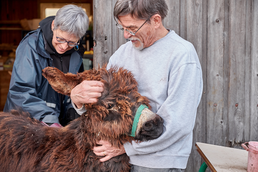 revue-sur-mesure-tiers-lieu-photographier-un-mouvement-en-equilibre_l_association-sors-tes-moutons-propose-a-travers-la-mediaiton-animale-de-renouer-les-liens-avec-la-nature_edited.jpg
